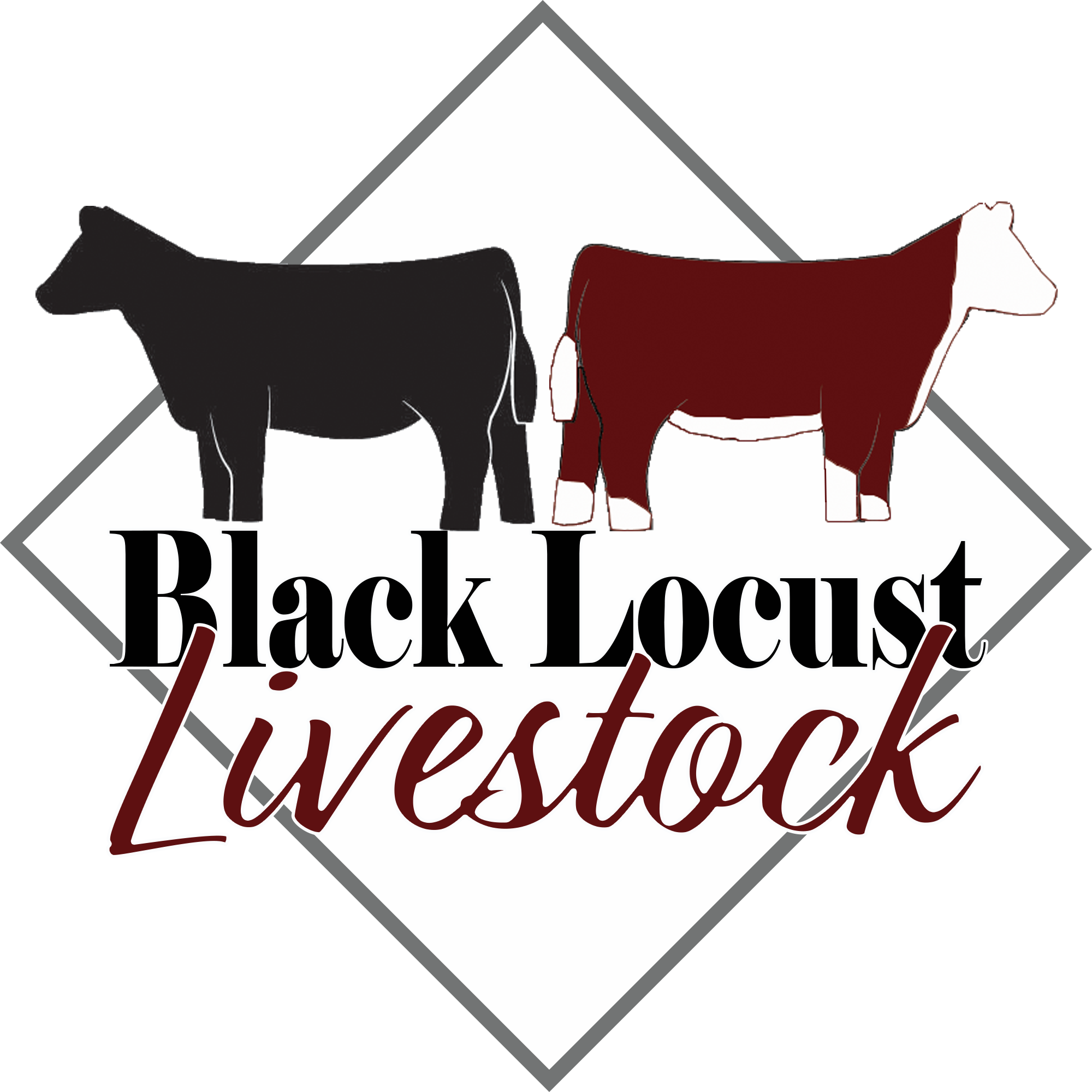 Black Locust Livestock